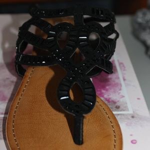 Not Rated "SEASHELL" Casual Thong Sandals - Black